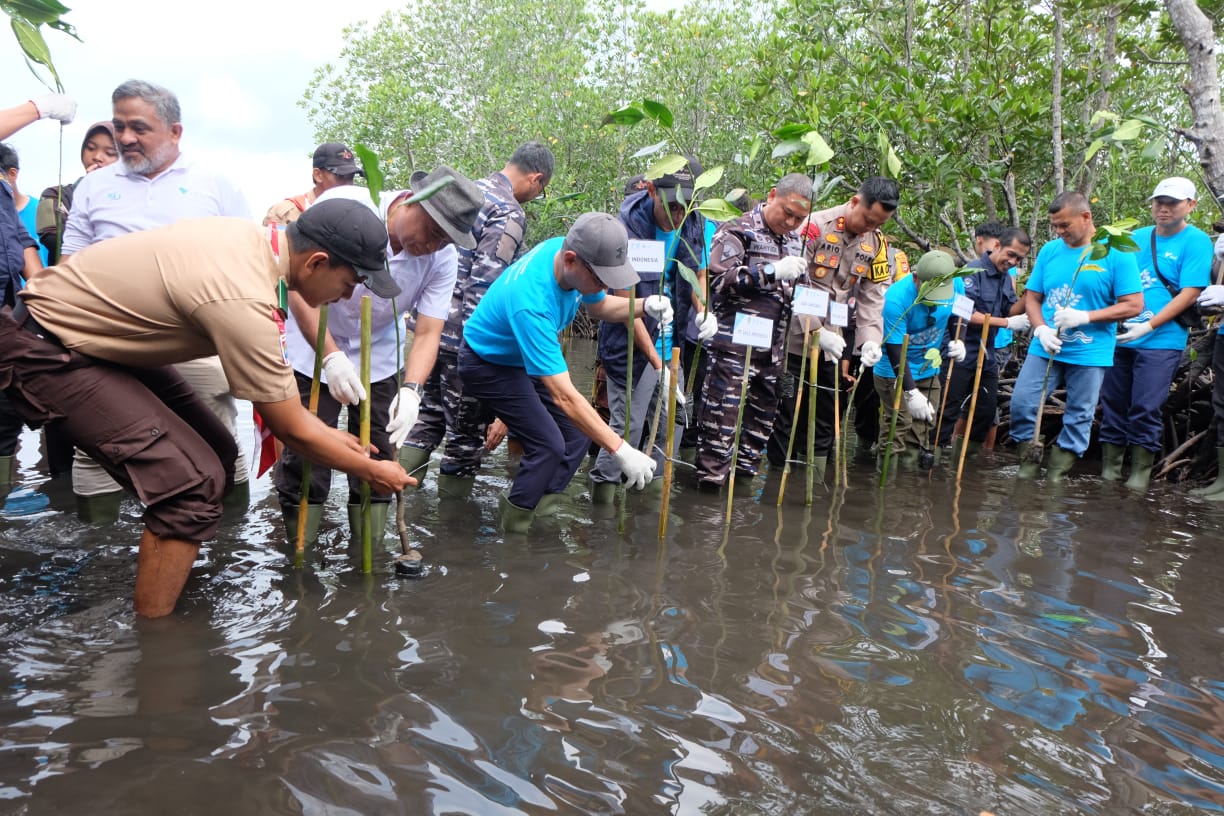 Wakil Presiden Direktur dan Chief Operation & Infrastructure Officer PT Vale, Abu Ashar (tiga dari kiri depan)  saat menanam mangrove didampingi Chief Human Capital Officer PT Vale, Adriansyah Chanigo