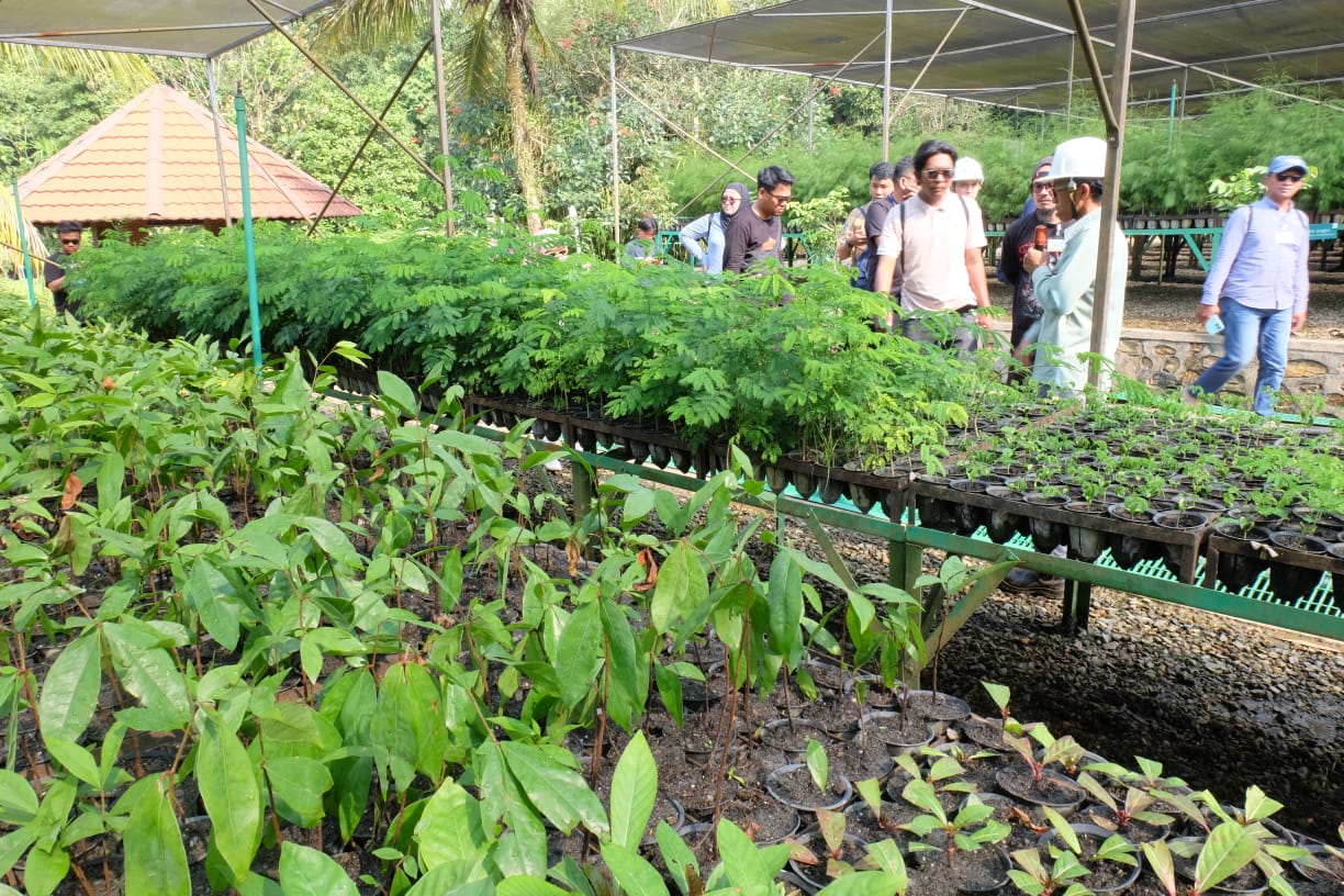 Persemaian atau nursery yang ada di dalam Taman Kehati Sawerigading