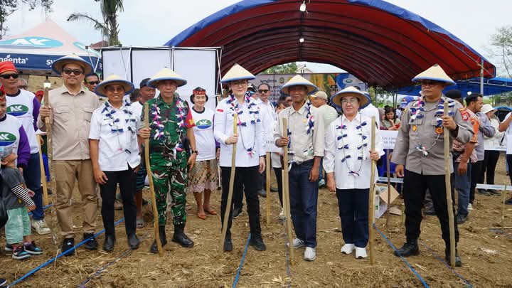 PERDANA : Bupati Poso Verna Inkiriwang, saat memimpin penanaman perdana jagung di Sangele Pamona Puselemba, Kabupaten Poso, Sulawesi Tengah.(FOTO : BUDIYANTO WIHARTO/RADAR PALU).