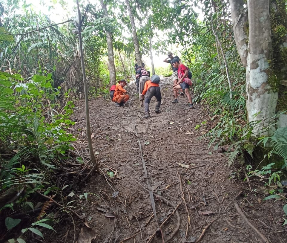 MEDANNYA EKSTREM: Tim SAR dan korban saat turun dari puncak gunung Gawalise.
