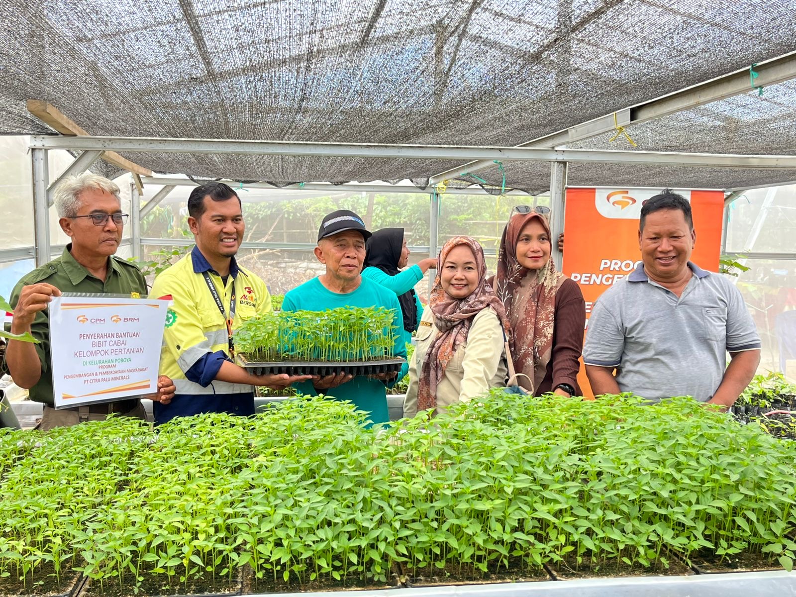 PT CPM memperkuat program tanggung jawab sosial perusahaan (CSR) melalui pengembangan klaster pertanian cabai di Kelurahan Poboya, Kota Palu.