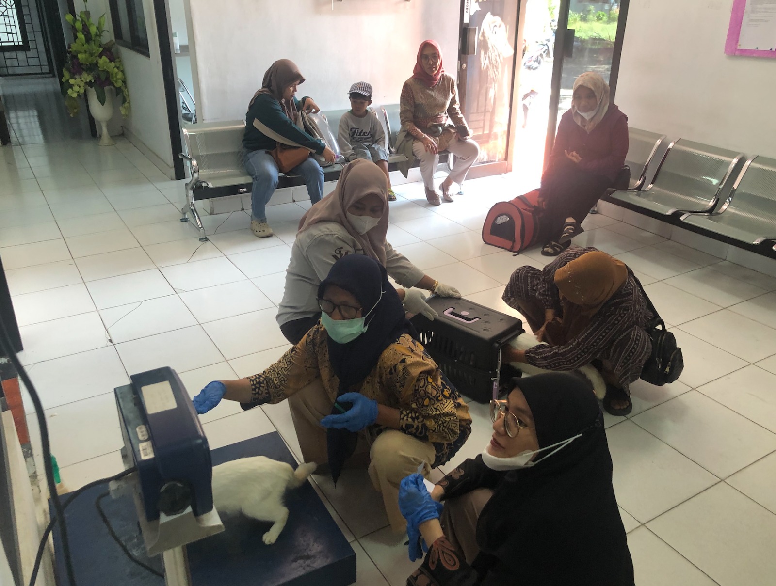 TIMBANG DULU: Petugas Klinik Hewan Disbunnak Sulteng menimbang sekaligus mencatat berat badan salah satu Anabul kucing sebelum dilakukan vaksinasi pada pada Kamis siang (2/10/2025).