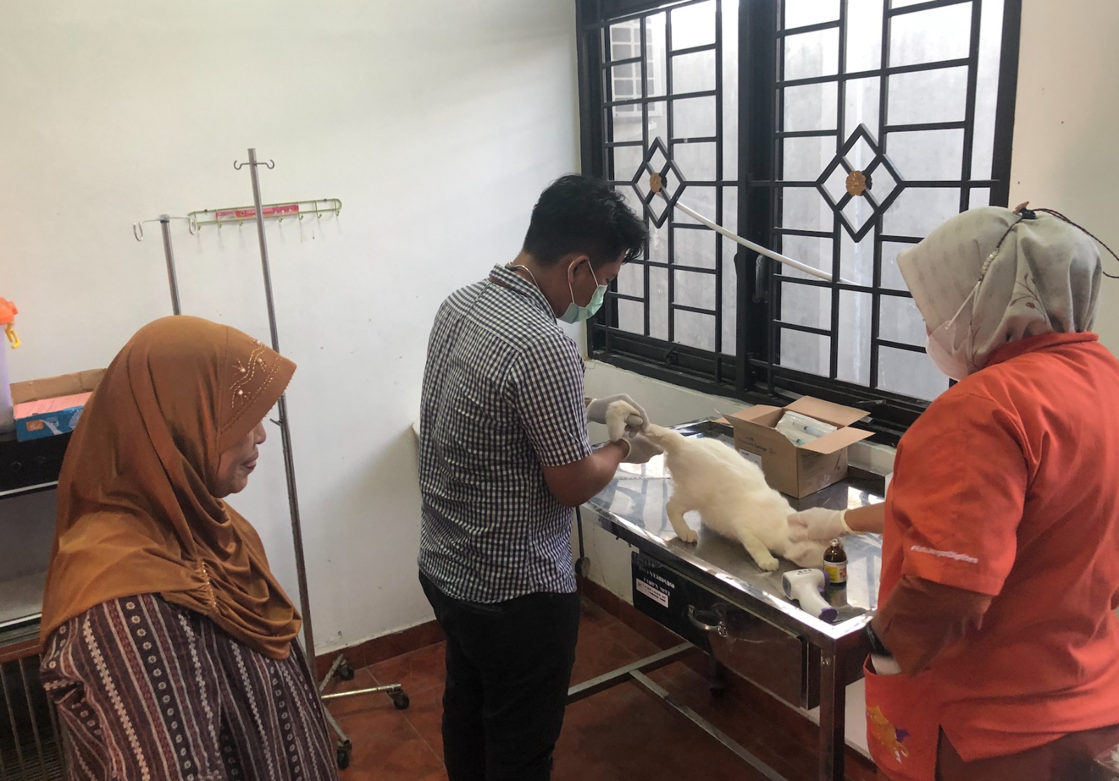 CEK SUHU: Salah satu Anabul berupa kucing, diukur suhu tubuhnya sebelum dilakukan vaksin oleh dokter hewan yang bertugas.