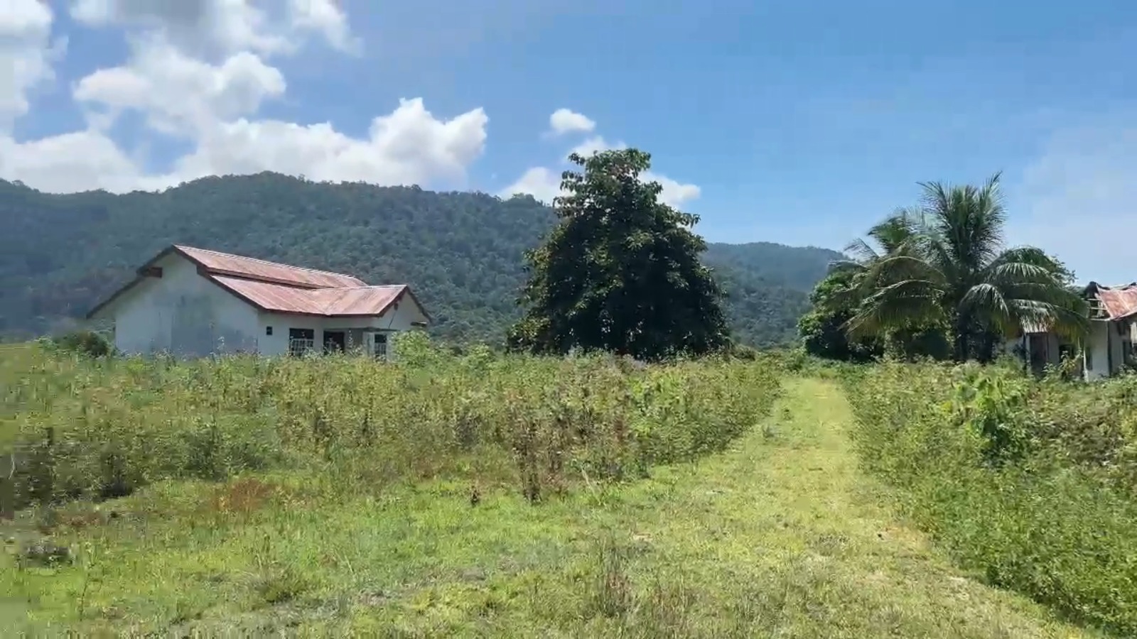 LOKASI : Inilah salah satu titik lokasi pembangunan sekolah rakyat di Kabupaten Banggai.(FOTO: NENDRA PRASETYA/RADAR PALU).