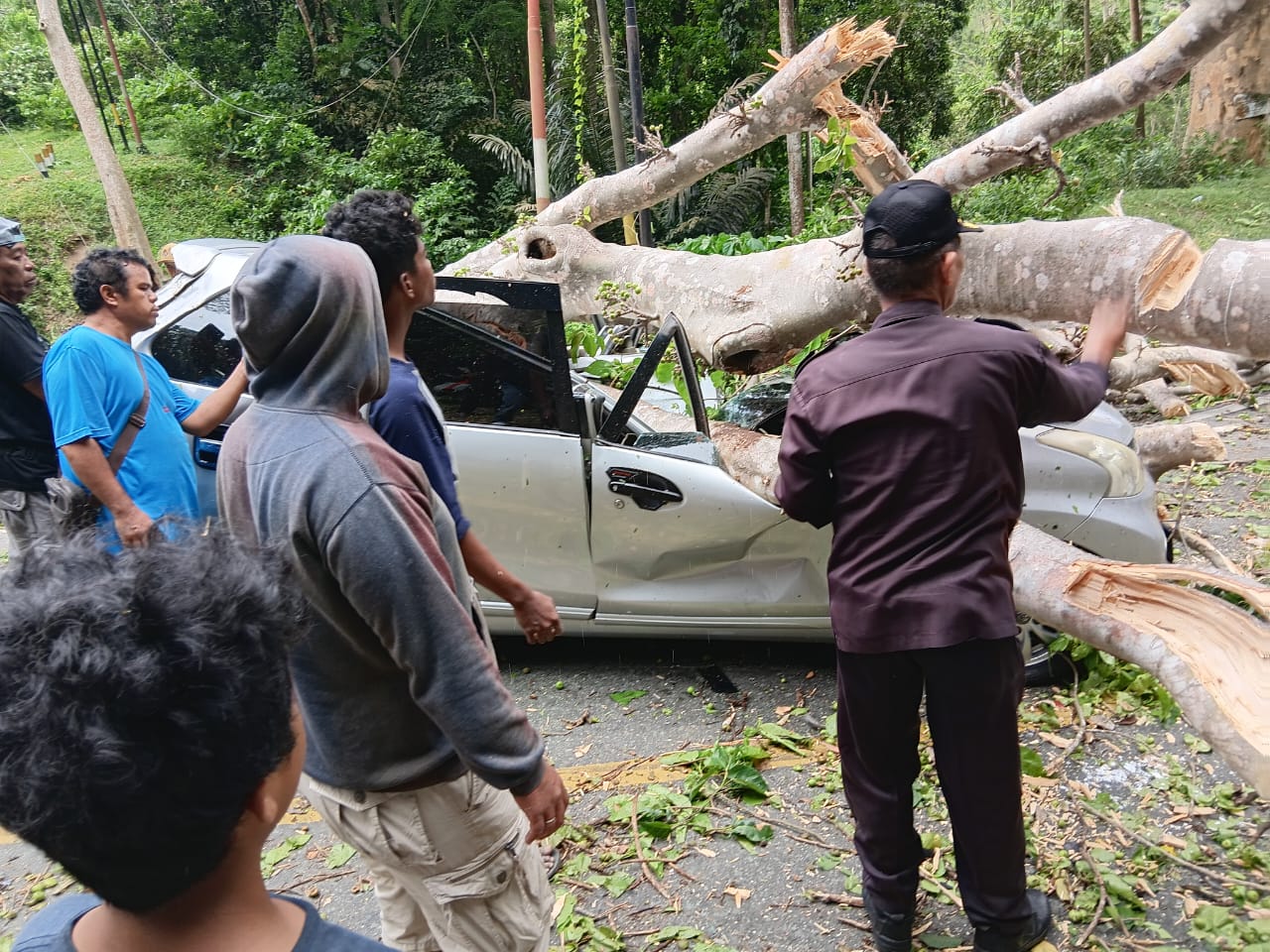 Petugas gabungan dari Polres Parigi Moutong bersama warga mengevakuasi korban kecelakaan akibat pohon tumbang di Jalur Trans Kebun Kopi, Desa Toboli Barat, Kecamatan Parigi Utara, Selasa (4/11/2025).
