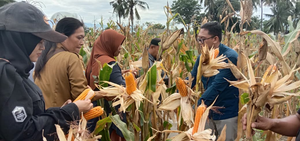 JADI RUMUSAN KEBIJAKAN : Pemantauan rutin terhadap perkembangan sektor pertanian melalui kegiatan ubinan yang dilaksanakan sepanjang tahun.