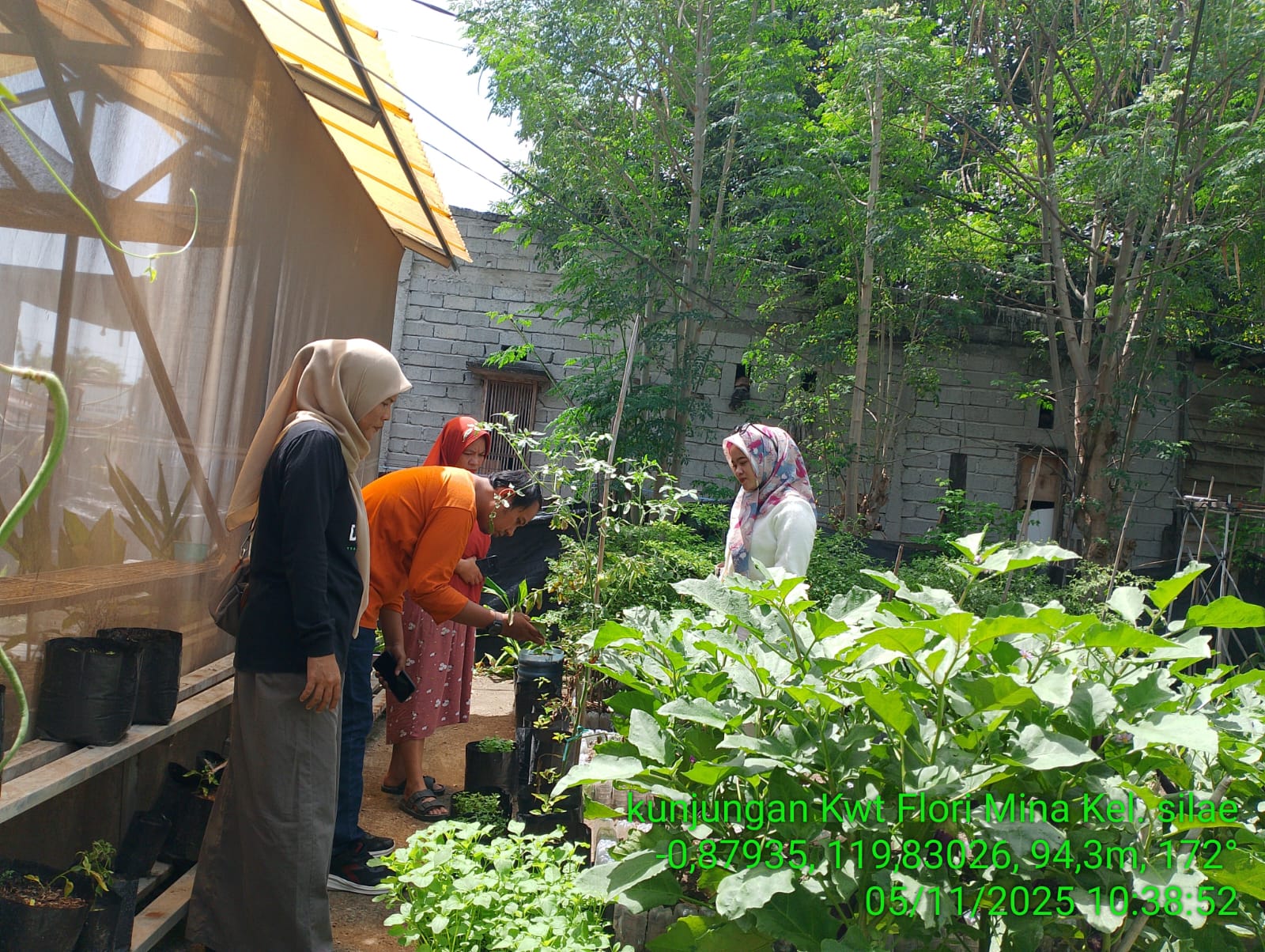 MANFAATKAN PEKARANGAN RUMAH : Program pembinaan Kelompok Wanita Tani (KWT) yang dijalankan Dinas Pertanian dan Ketahanan Pangan Kota Palu