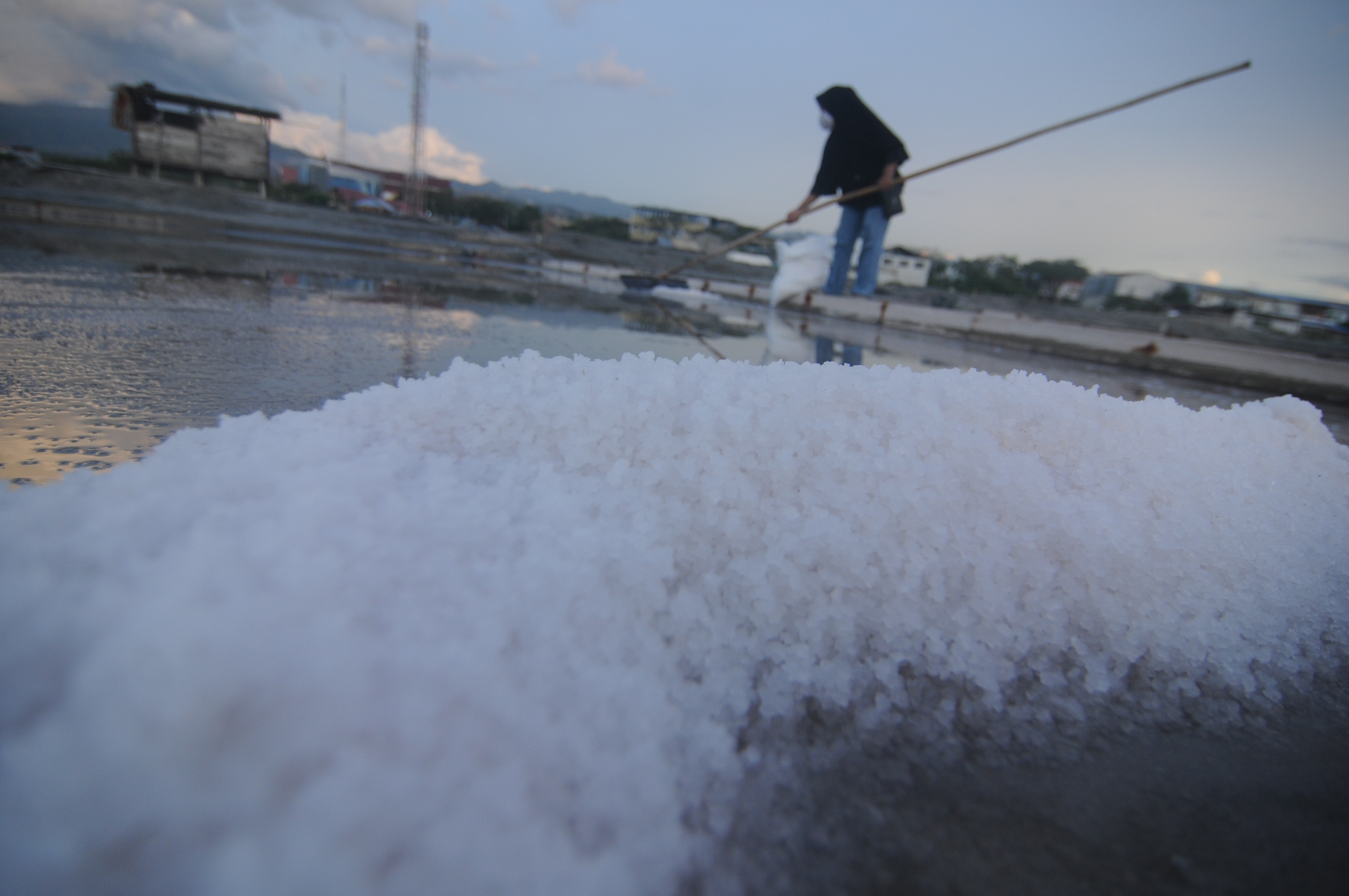 BEKAS LOKASI TSUNAMI :Salah seorang penambak mengeruk garam miliknya di Tambak Garam Talise, Kota Palu, Sulawesi Tengah. Pada 2027, Pemerintah Indonesia menargetkan swasembada garam nasional.