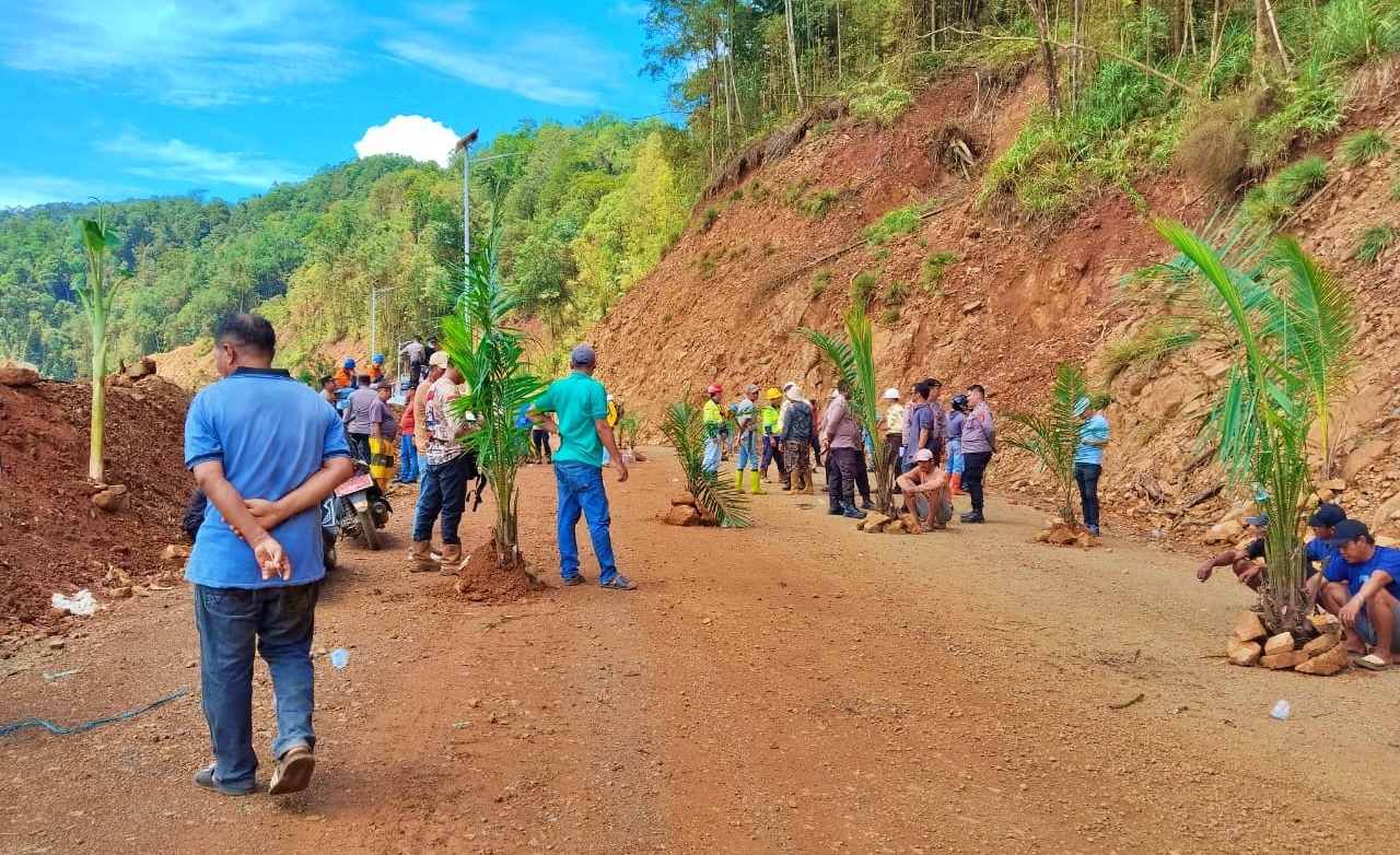 DITANAM SAWIT: Anggota Koperasi Hut Bun Sukamaju menanami jalur hauling PT Bumanik, menyusul berlarutnya janji atas kesepakatan antara kedua belah pihak tersebut.(FOTO: ISTIMEWA/RADAR PALU)  &nbsp;