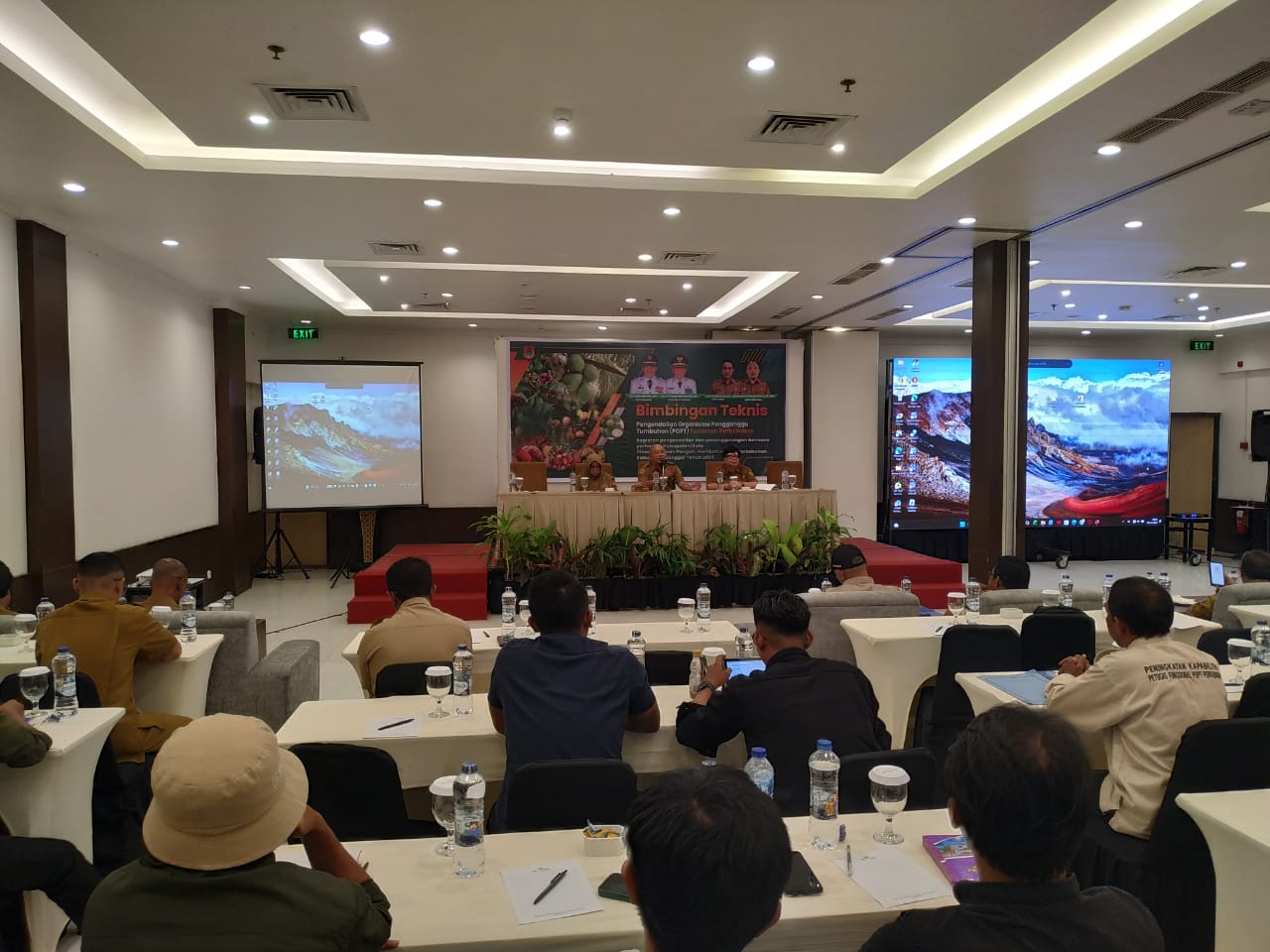 DILATIH : Suasana bimtek OPT bagi penyuluh, Senin (08/12/2025).(FOTO: NENDRA PRASETYA/RADAR PALU).