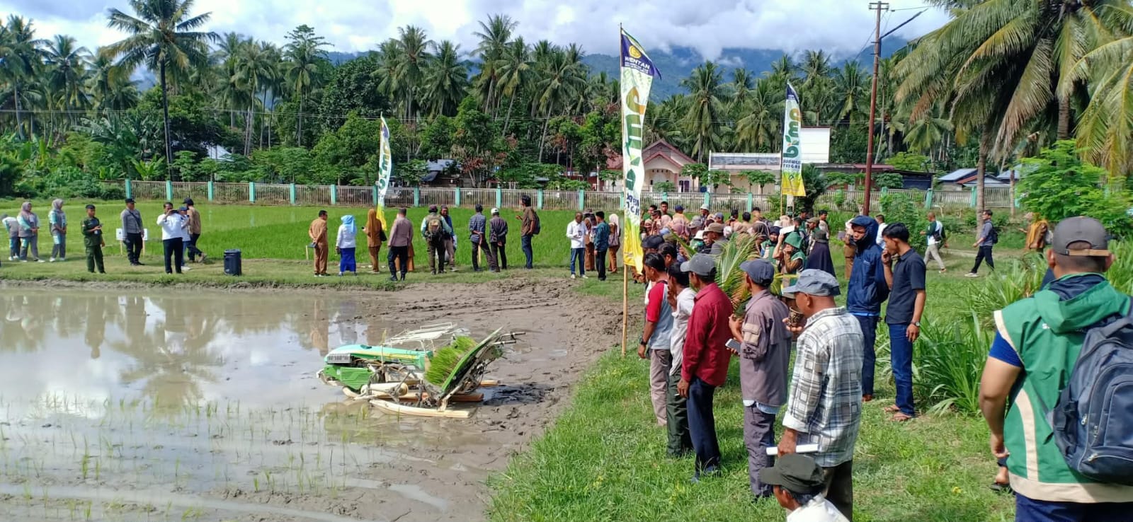 PENINJAUAN: Para peserta bimtek dan diseminasi meninjau langsung lokasi lahan pertanian pembibitan padi.(FOTO: MUCHSIN SIRADJUDIN/RADAR PALU).