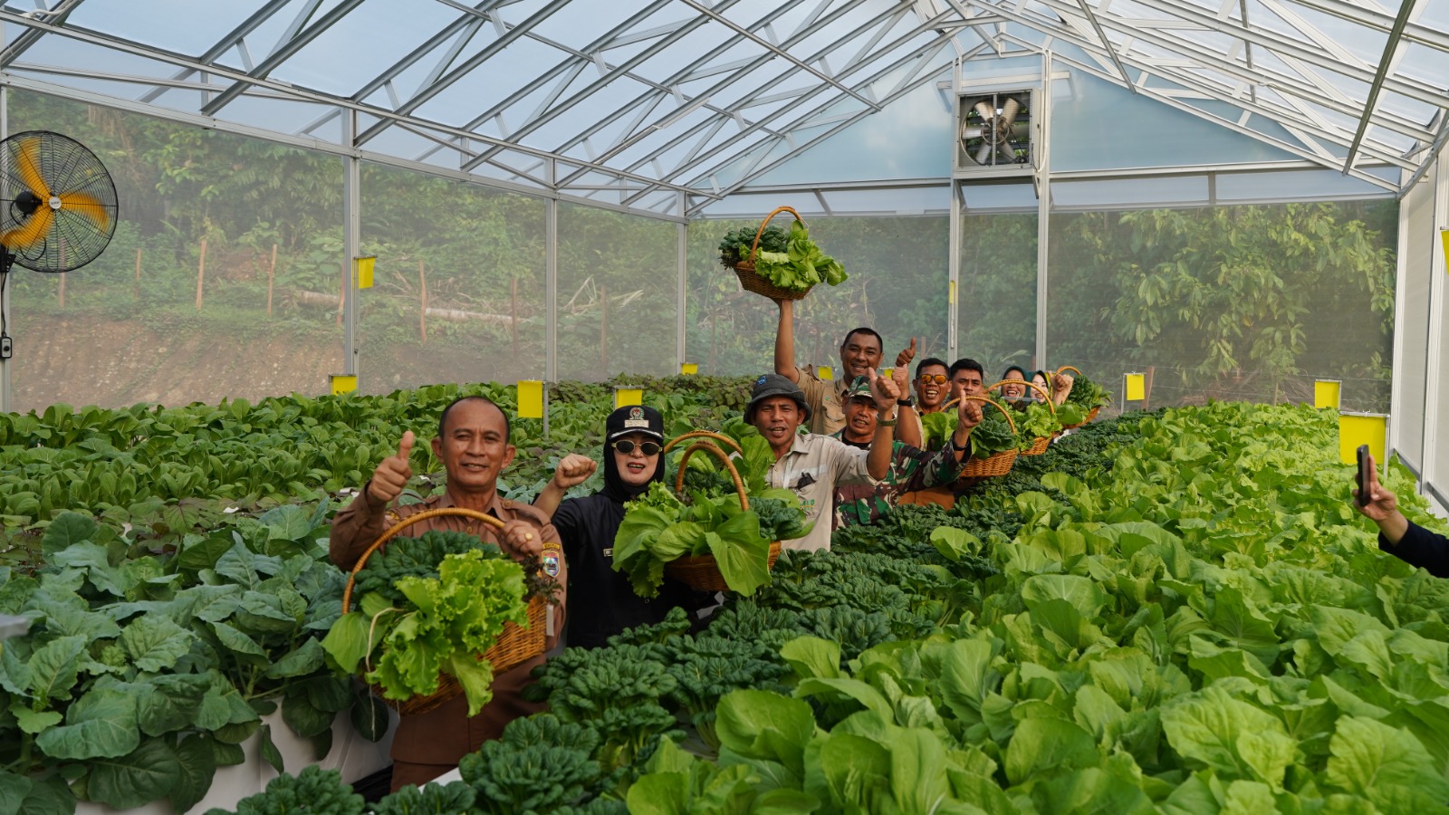 Panen perdana hidroponik Koperasi Labota menjadi bukti kontribusi PT IMIP dalam memperkuat ekonomi kerakyatan dan pertanian modern.
