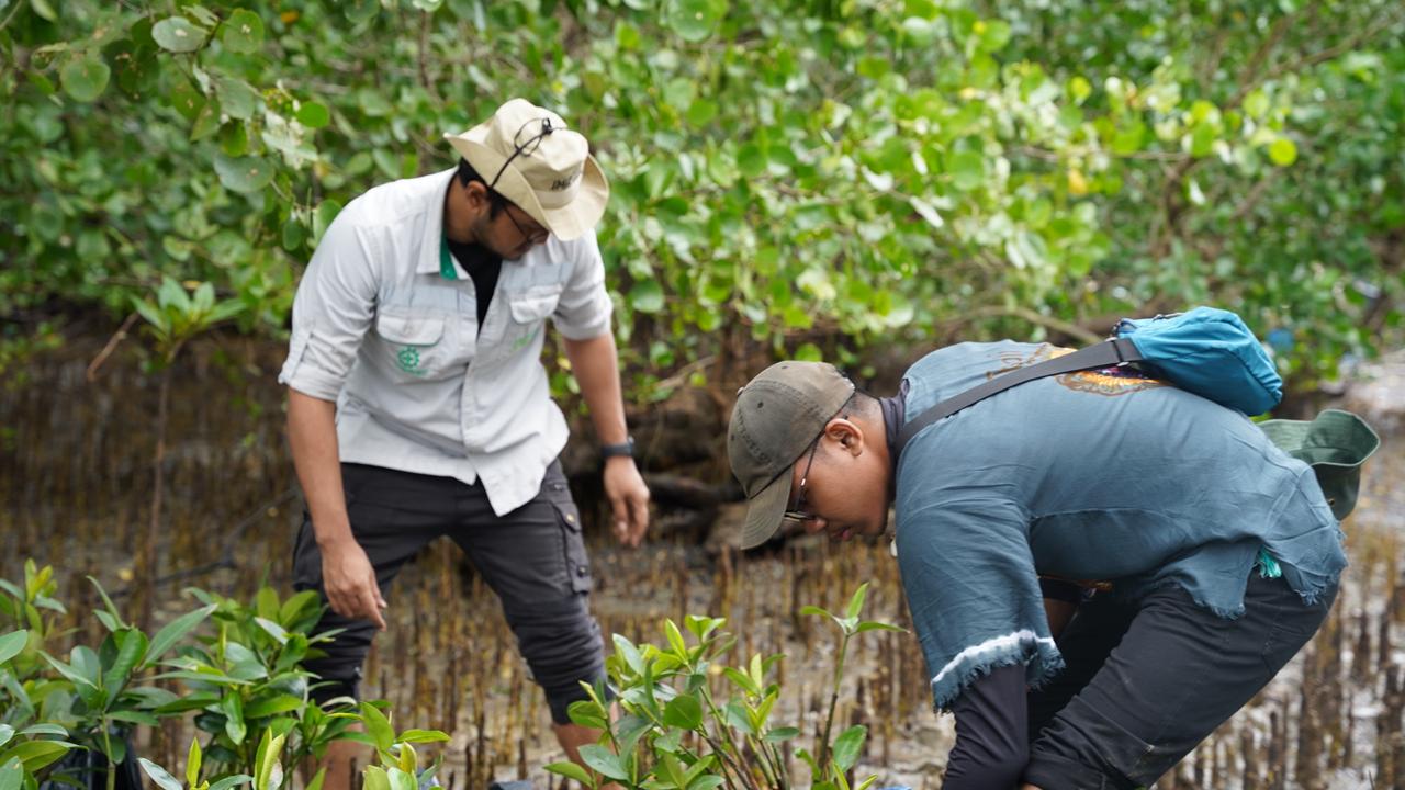 Program mangrove IMIP menjadi bagian strategi industri terintegrasi yang menggabungkan pertumbuhan ekonomi dan perlindungan lingkungan.