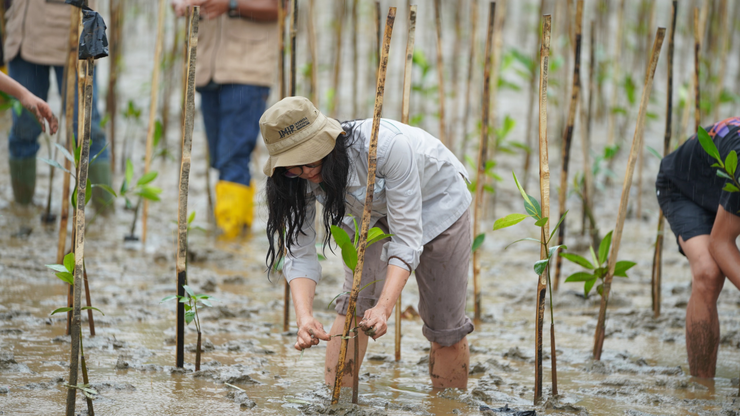 Program mangrove IMIP menjadi bagian strategi industri terintegrasi yang menggabungkan pertumbuhan ekonomi dan perlindungan lingkungan.