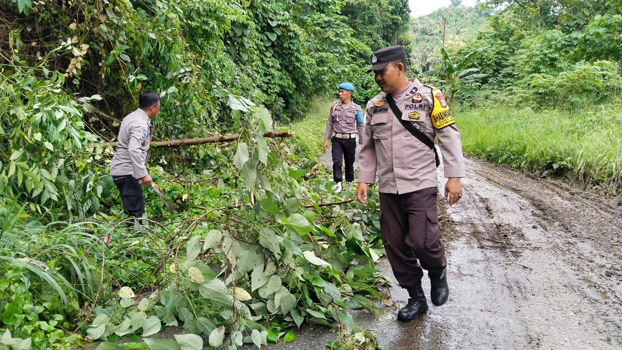 BERSIHKAN: Anggota Polisi Saat Bersihkan Pohon Tumbang di Ruas Jalan Poso-Napu.(FOTO: BUDIYANTO WIHARTO/RADAR PALU).