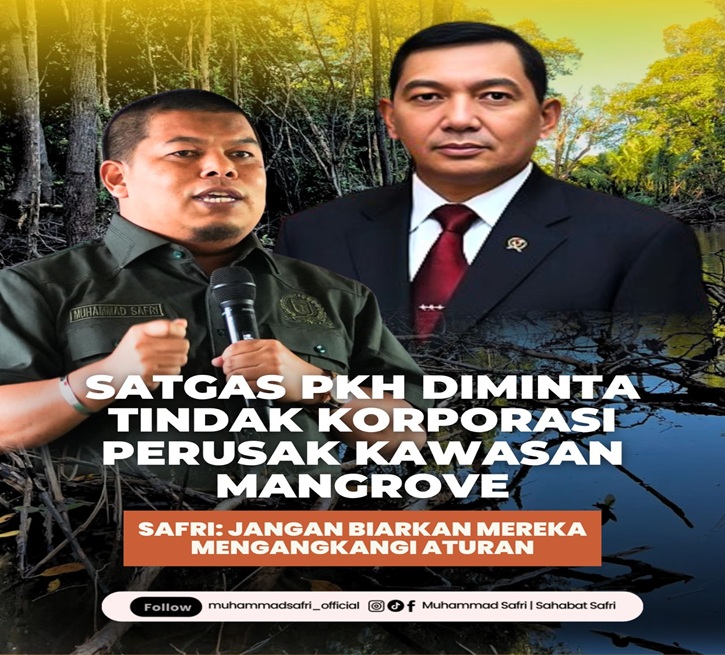 &nbsp;Anggota DPRD Sulteng Muhammad Safri minta penertibkan perusahaan-perusahaan yang beroperasi di kawasan mangrove tanpa izin.