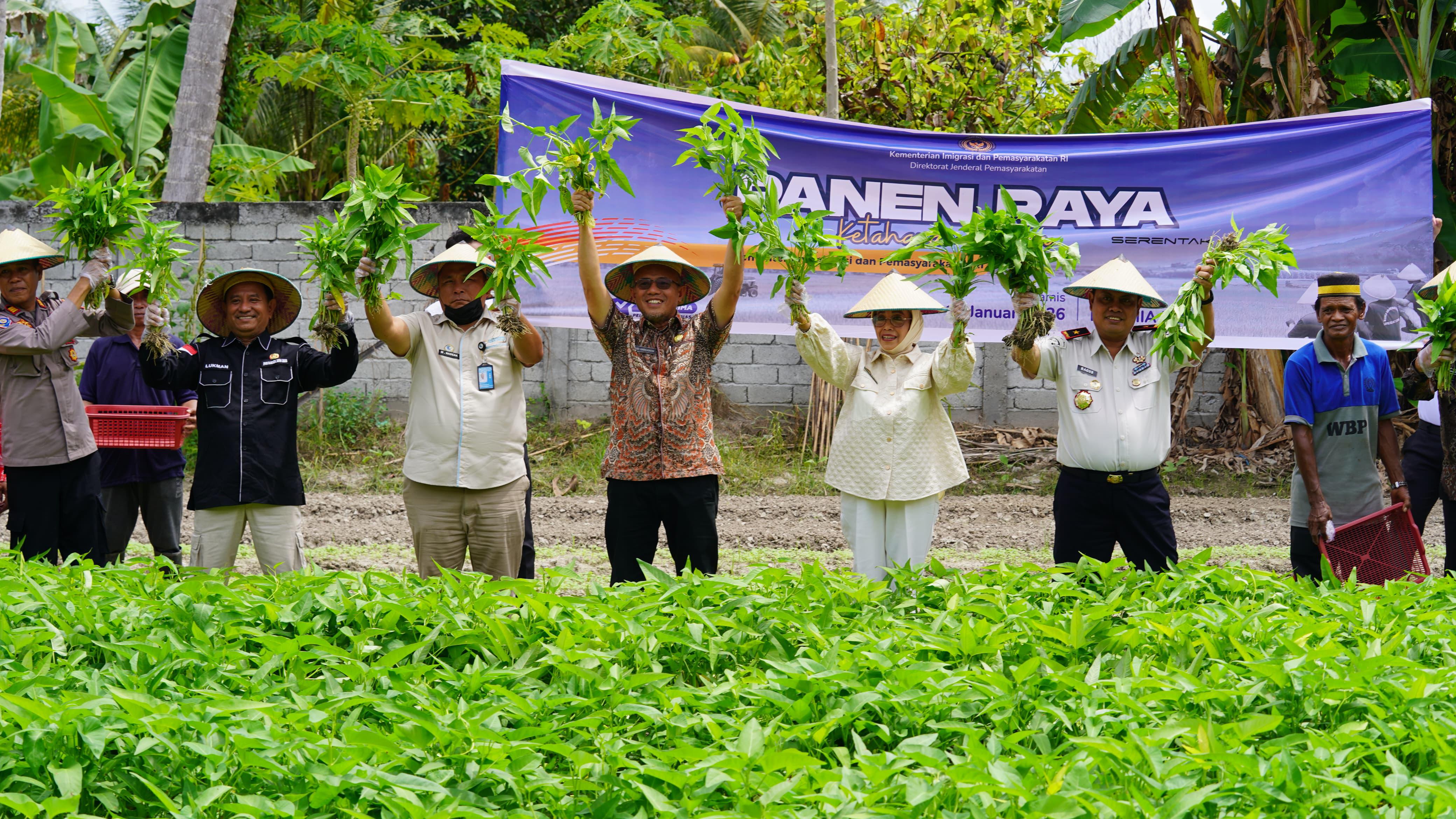 KETAHANAN PANGAN: Panen raya serentak pemasyarakatan yang dilaksanakan oleh Lembaga Pemasyarakatan (Lapas) Kelas IIA Palu di Kebun Lapas Kelas IIA Palu Desa Langaleso.