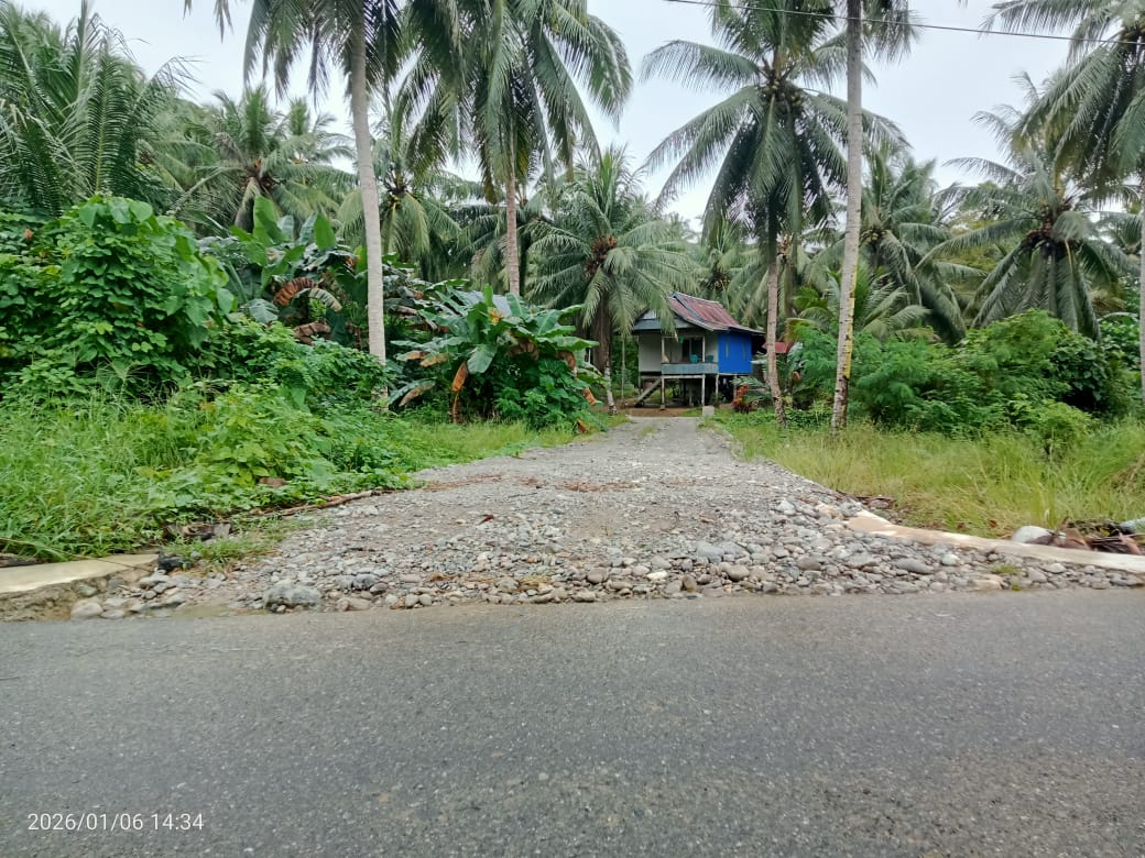 PRIBADI: Jalan akses ke kebun pribadi.(FOTO: ISTIMEWA/RADAR PALU).