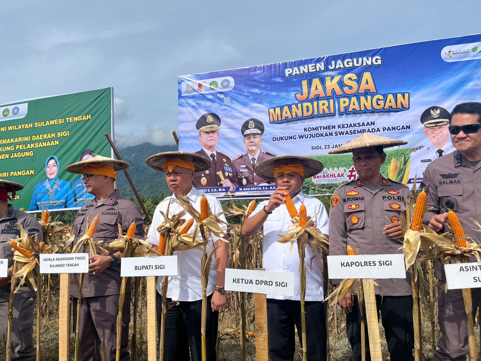 PANEN: Tampak Bupati Sigi, Moh. Rizal Intjenae, sedang memanen jagung di kegiatan Jaksa mandiri pangan.(FOTO: ANGEL SUMBARA/RADAR PALU).