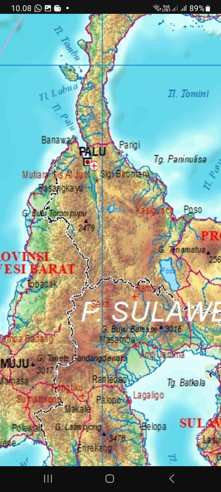 Bandar Udara Mutiara Sis Al-Jufri Palu tercatat dalam Peta Negara Kesatuan Republik Indonesia (NKRI) Tahun 2025 sebagai salah satu bandar udara berstatus internasional.