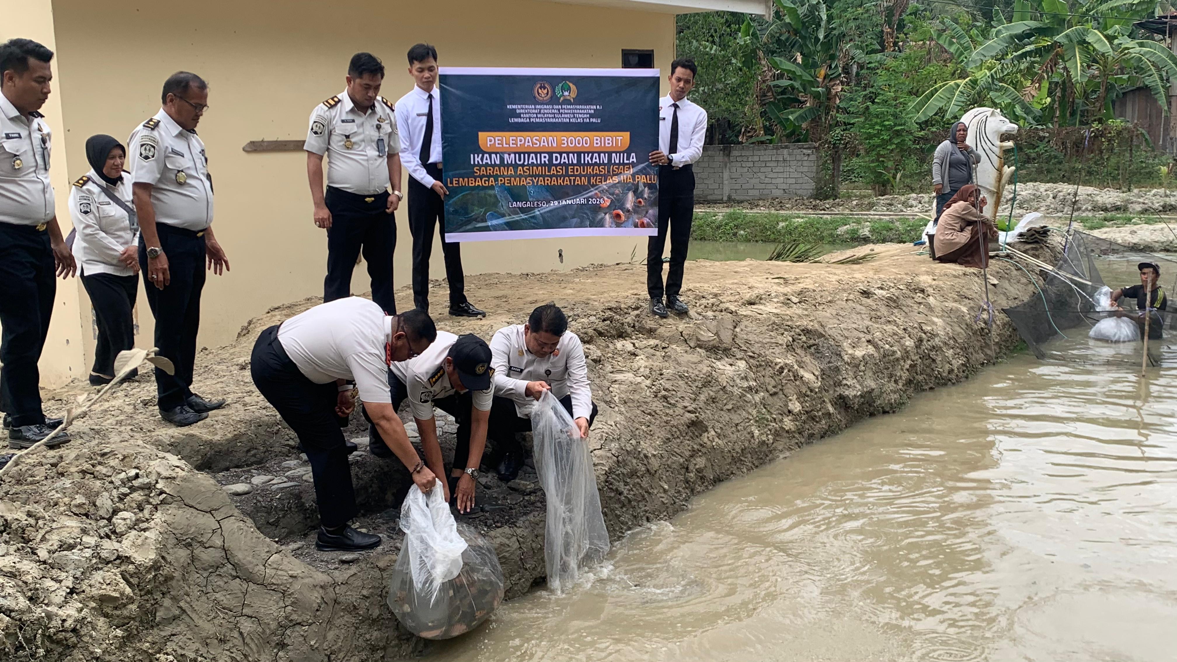 BEKAL KEMANDIRIAN WBP : Pelepasan bibit ikan nila dan mujair sebanyak 3.000 ekor di Sarana Asimilasi dan Edukasi (SAE) Langaleso Lapas Kelas IIA Palu, Kamis (29/1/2026).