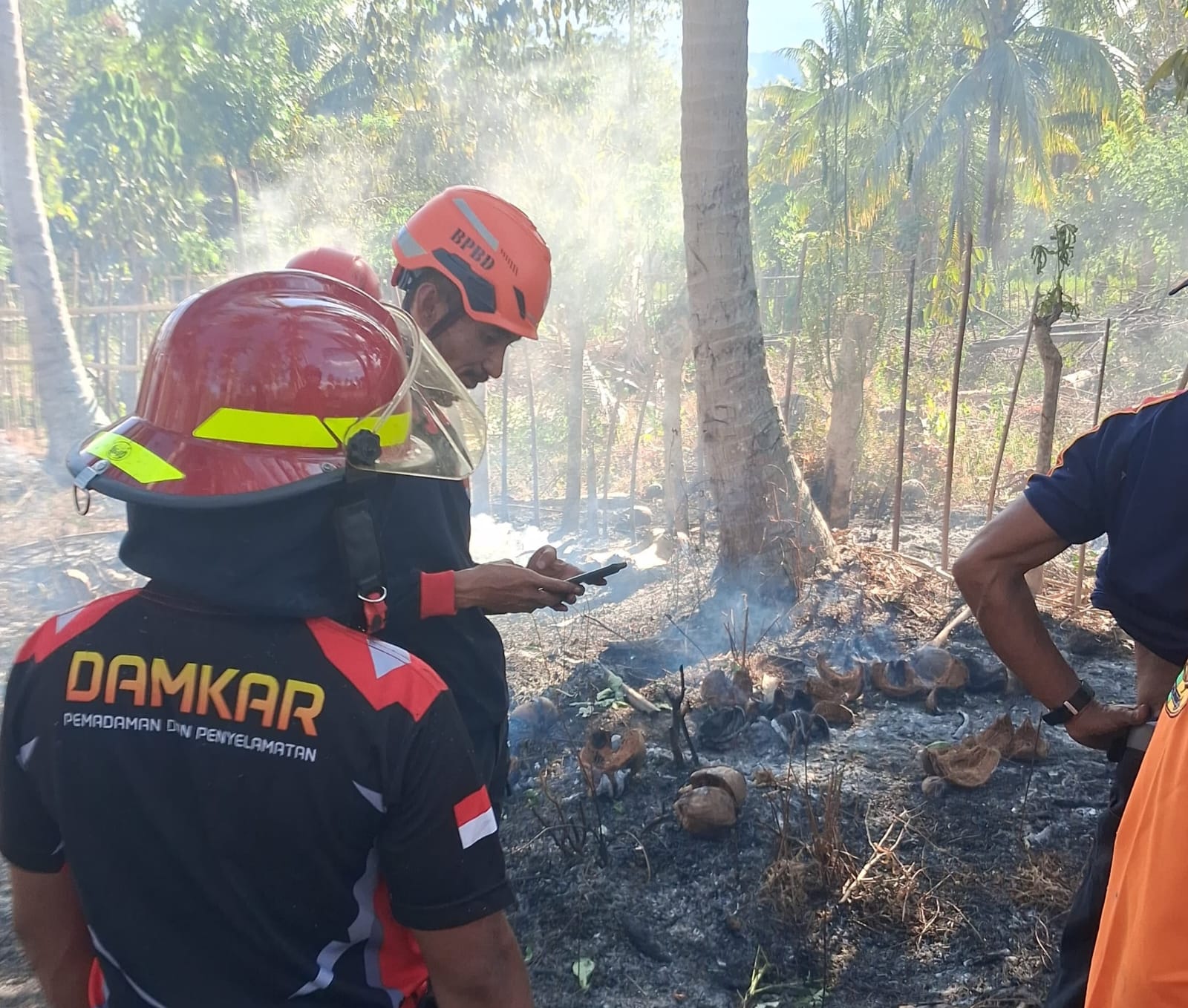 Petugas BPBD melakukan pemantauan kebakaran hutan dan lahan di Desa Baliara, Kecamatan Parigi Barat, Kabupaten Parigi Moutong, Minggu (1/2/2026).