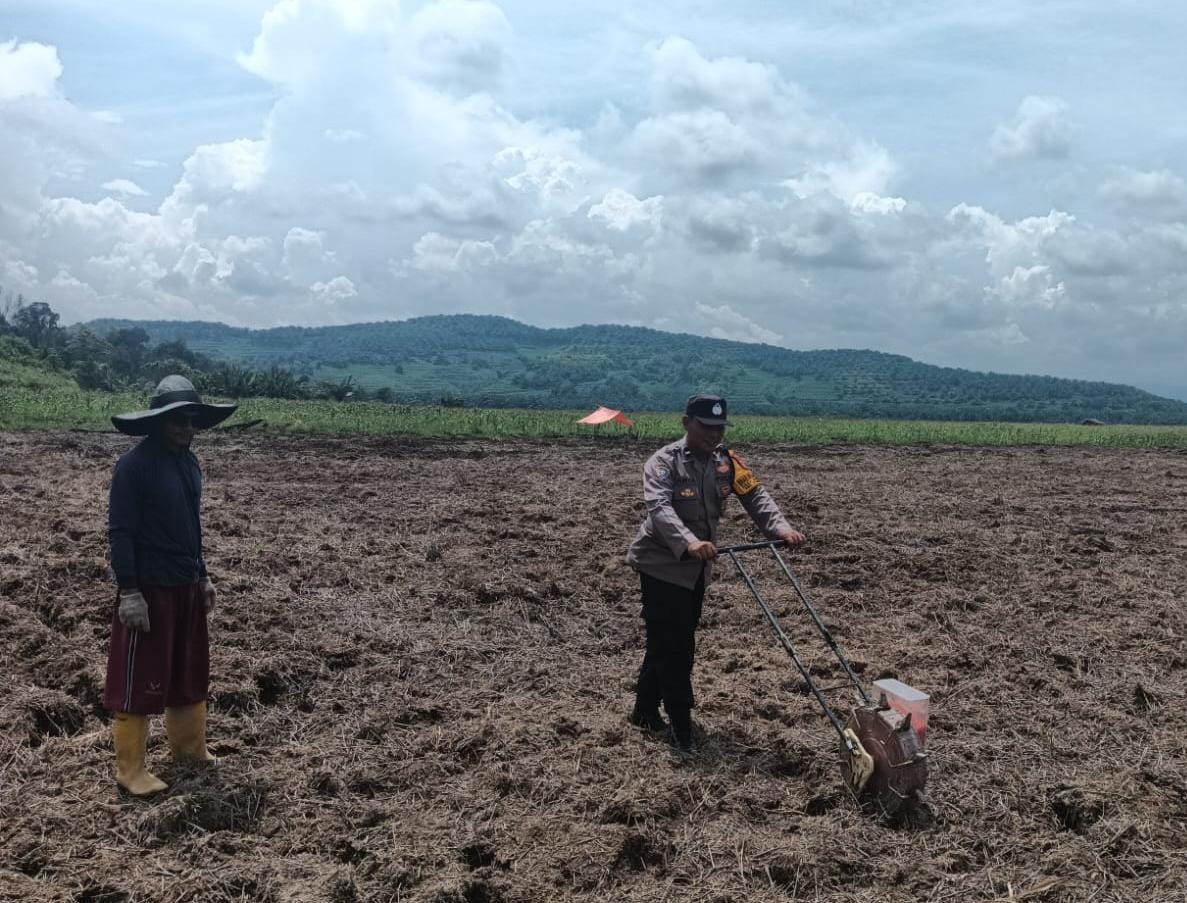 JAGUNG: Babinkamtibmas Matialemba, saat mendampingi petani menanam jagung.(FOTO: BUDIYANTO WIHARTO/RADAR PALU).