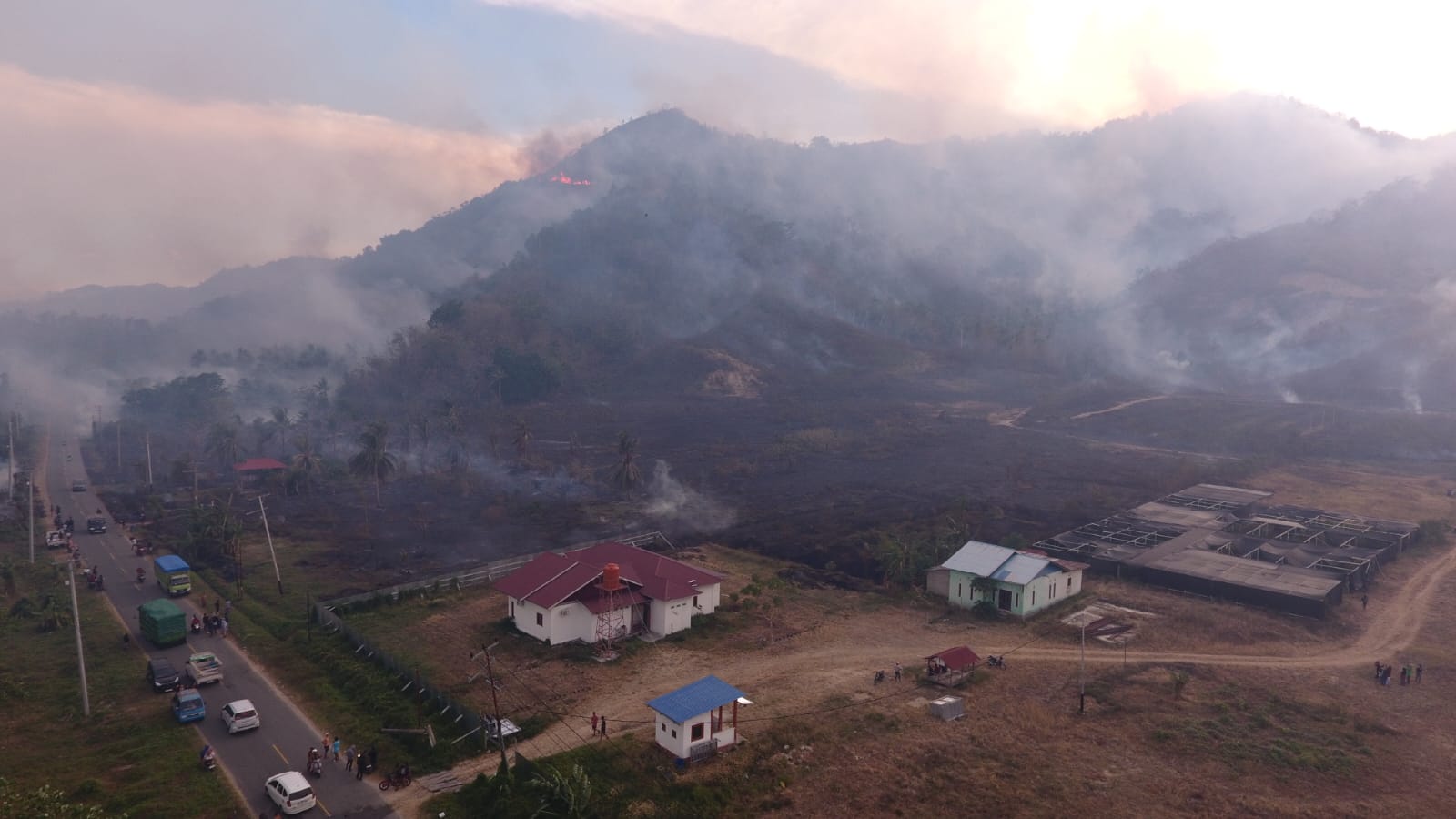 Kondisi lahan dan bangunan perkebunan warga di Desa Avolua, Parigi Utara, yang terdampak kebakaran hutan dan lahan, Senin (2/2/2026).