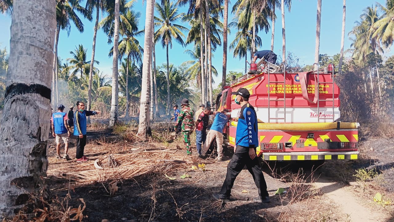 Petugas BPBD melakukan pemantauan lokasi kebakaran hutan dan lahan di Desa Towera, Kecamatan Siniu, Parigi Moutong, Kamis (522026). Api dilaporkan telah padam.