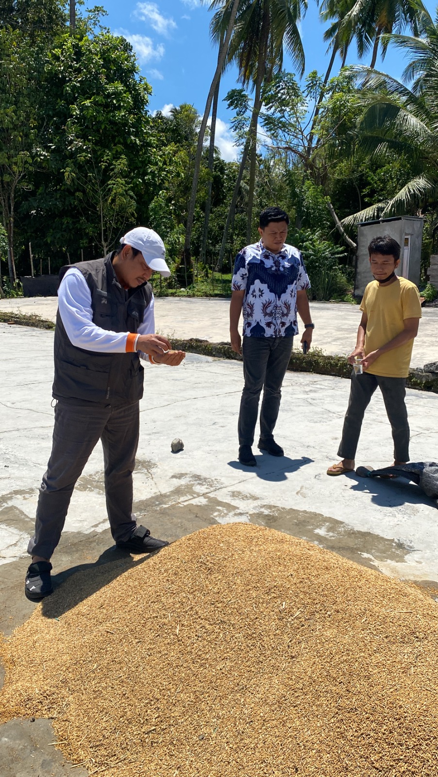 SOSIALISASIKAN SWASEMBADA PANGAN : Kunjungan kerja ke sejumlah sentra produksi padi di wilayah Sulawesi Tengah.
