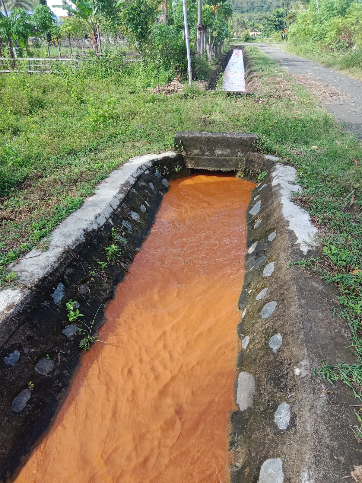 TERCEMAR: Satu aliran air limbah yang diduga telah tercemar.(FOTO : NENDRA PRASETYA/RADAR PALU).