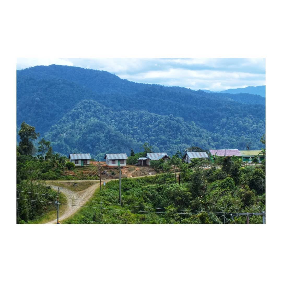 Dari enam provinsi di Pulau Sulawesi, Sulawesi Tengah menjadi wilayah dengan hutan lindung terluas, yakni mencapai 1.258.081 hektare.