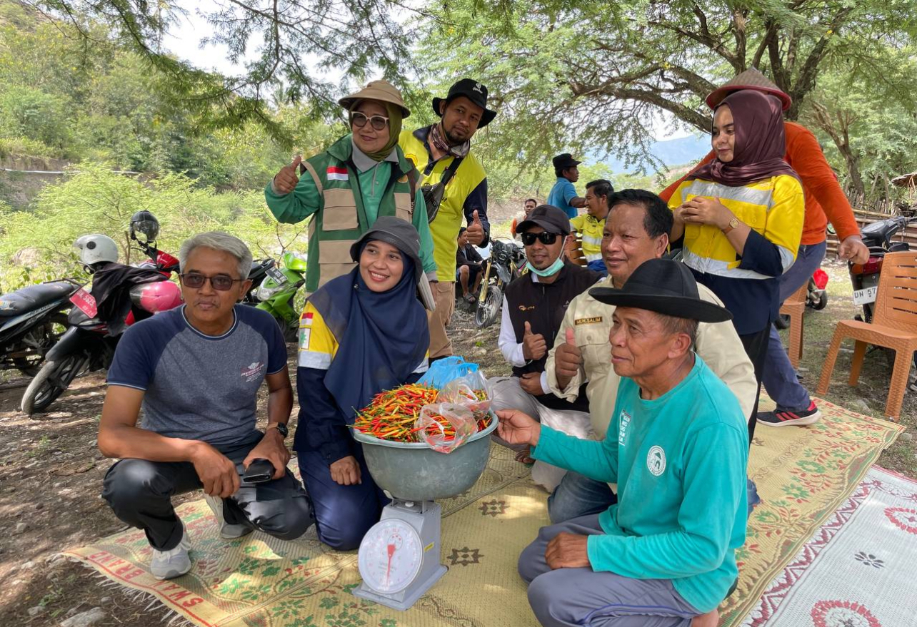 PT CPM bersama kelompok tani di Kelurahan Poboya saat mengumpulkan hasil panen cabai perdana, Minggu (8/3)