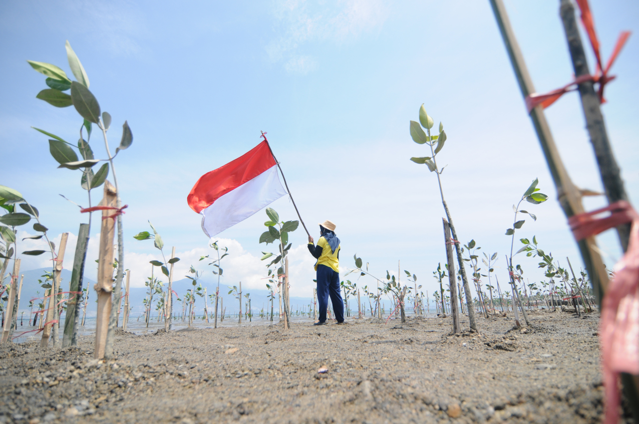Sulawesi Tengah memiliki luas mangrove 38.064 hektar pada tahun 2024.