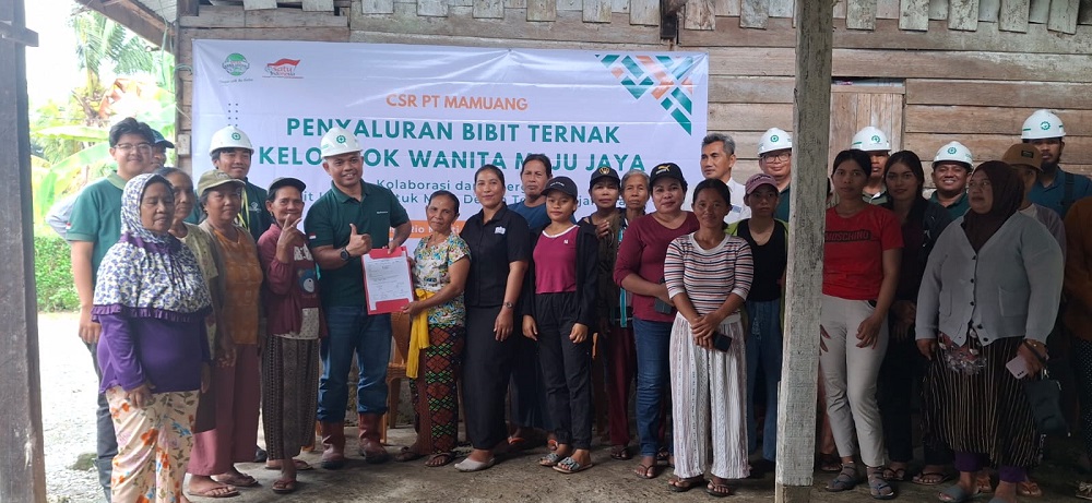 PT Mamuang menyalurkan bantuan bibit ternak babi kepada Kelompok Tani Perempuan Maju Jaya di Desa Rio Mukti, Kecamatan Rio Pakava, Kabupaten Donggala, Rabu, 11 Maret 2026.