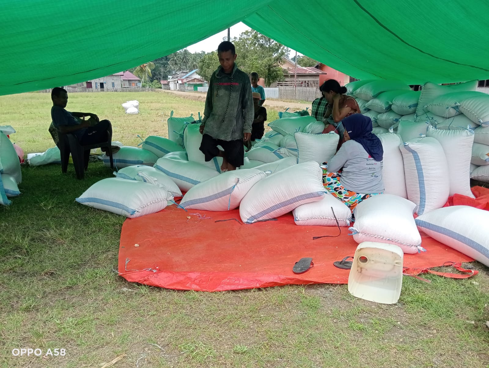 PANEN: Petani jagung semringah melihat hasil panennya melimpah di Kabupaten Buol.(FOTO: ISTIMEWA/RADAR PALU)
