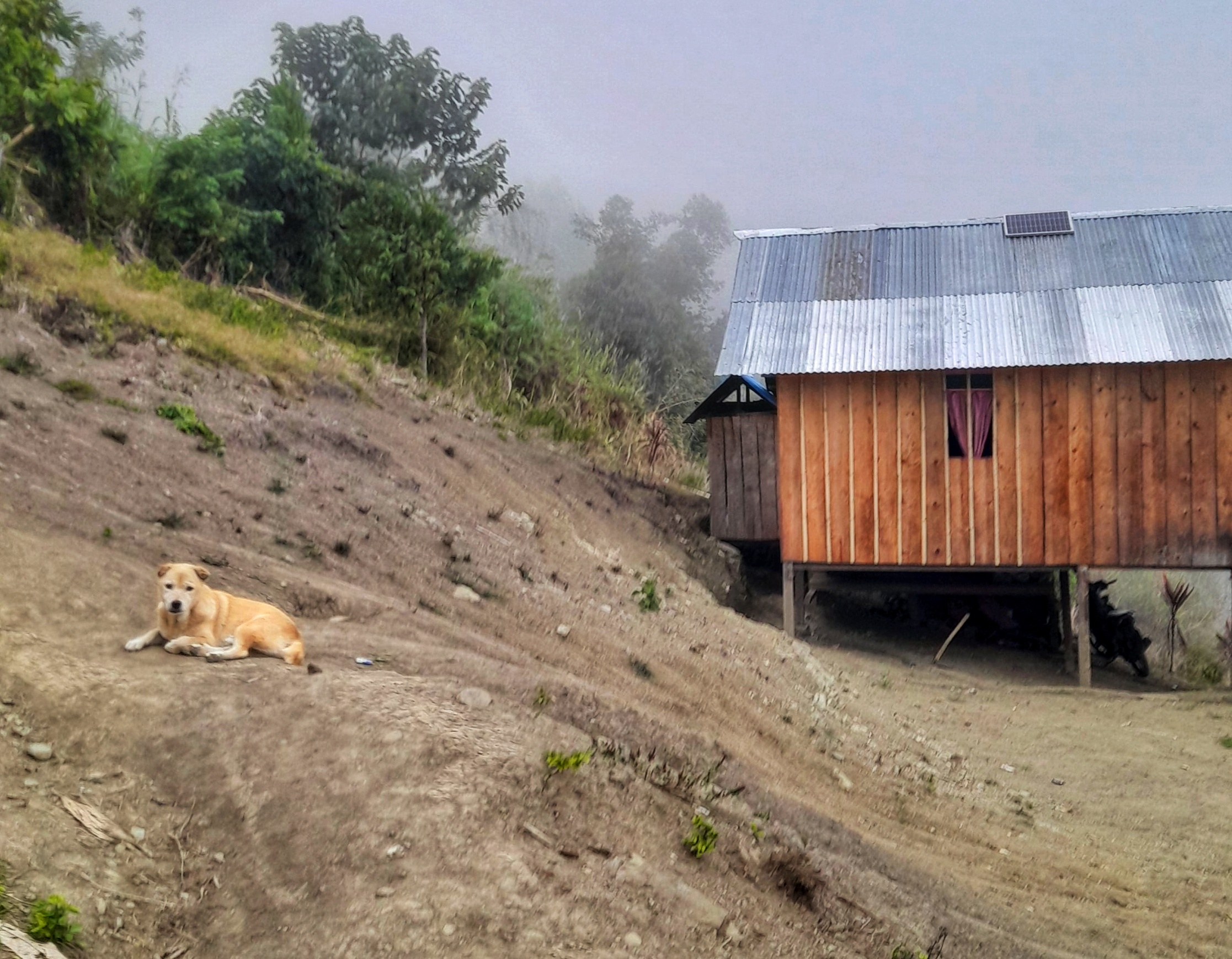 Salah satu rumah di dusun Tiga desa Waturalele, Kabupaten Sigi, Sulawesi Tengah, yang memanfaatkan panel Surya untuk mendapatkan listrik.