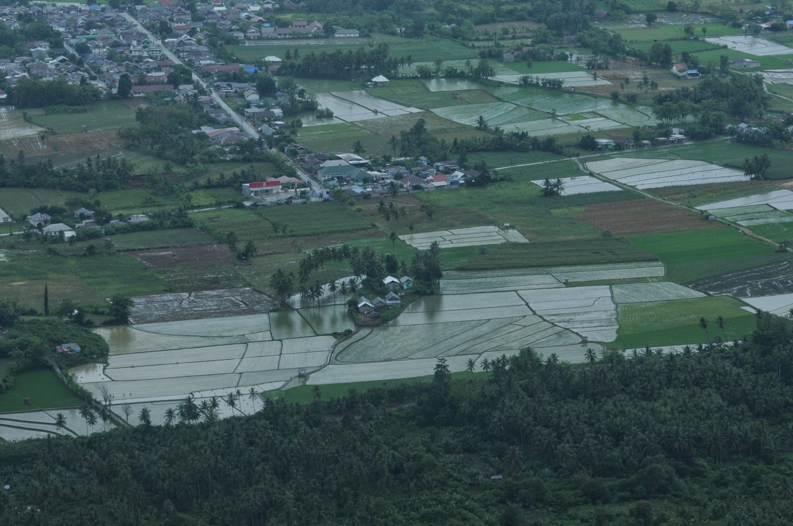 Menghadapi musim kemarau pada sektor pertanian, langkah adaptasi perlu diperkuat melalui penyesuaian kalender tanam berdasarkan prakiraan musim.