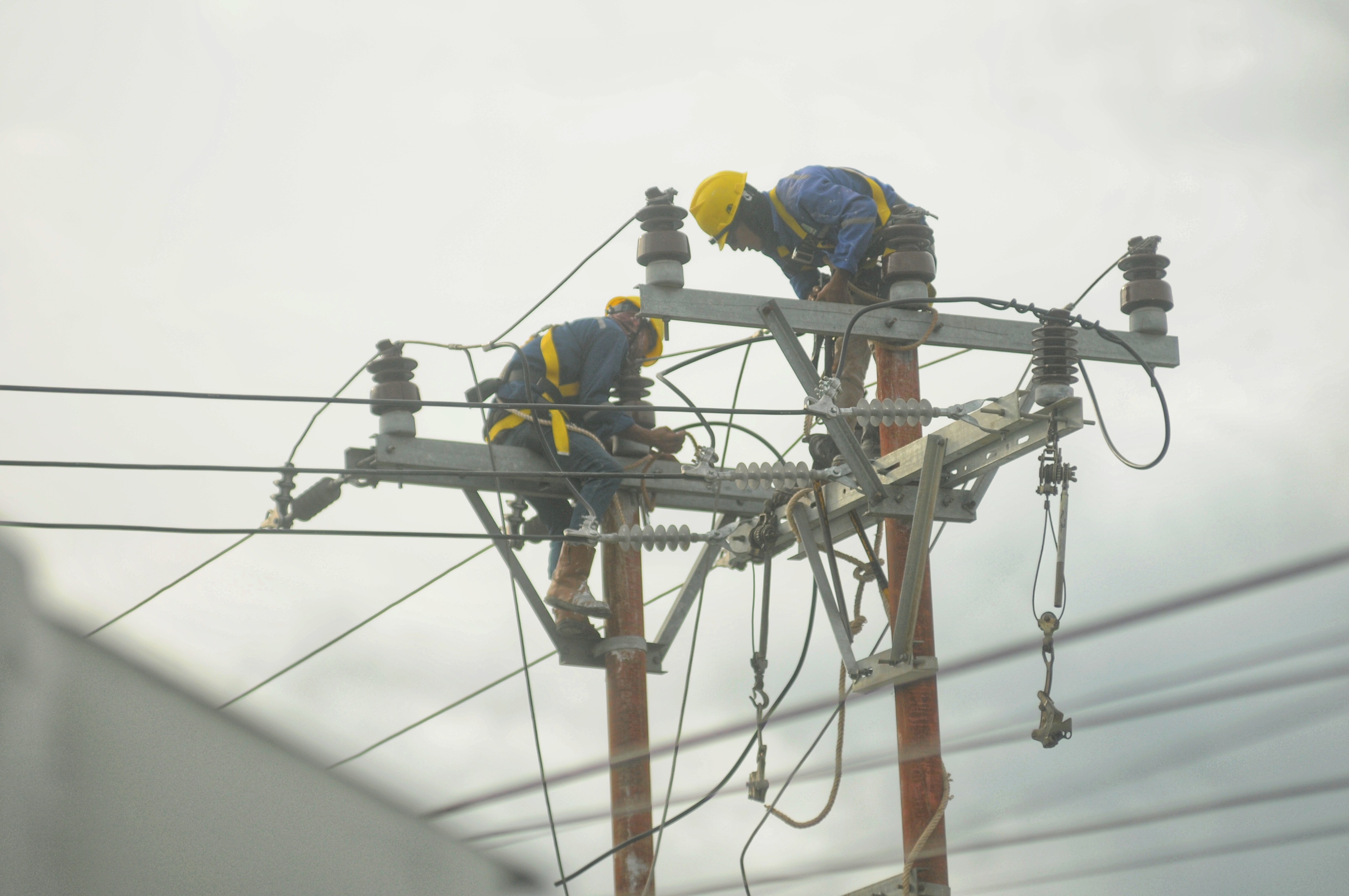 Berdasarkan data per Desember 2025, daya mampu sistem kelistrikan UP3 Palu mencapai 603 megawatt (MW) dengan beban puncak sebesar 231,40 MW.