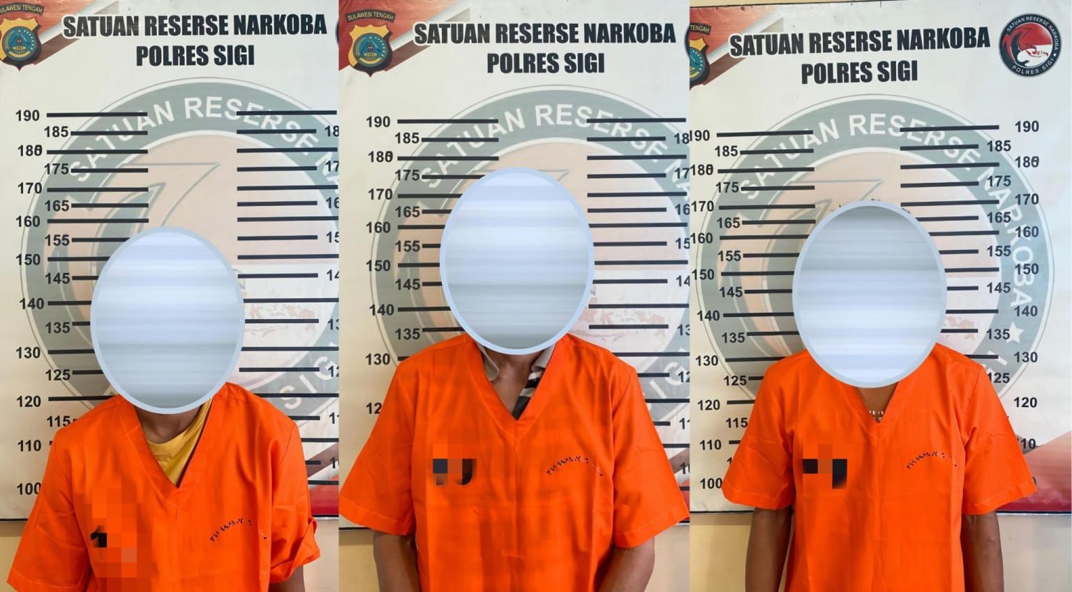 DITANGKAP: Tiga pengedar narkoba di wilayah Kabupaten Sigi ditangkap.(FOTO: ISTIMEWA/RADAR PALU)  