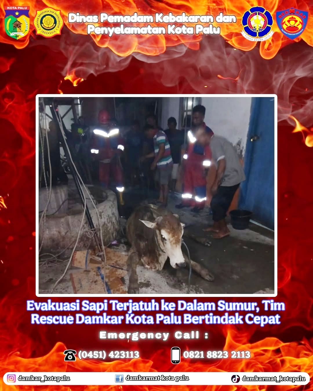 Seekor sapi terjatuh ke dalam sumur rumah warga sedalam kurang lebih 10 meter di Jalan Untad 1, Kelurahan Tondo, Kecamatan Mantikulore, Sabtu (21/3/2026) malam.