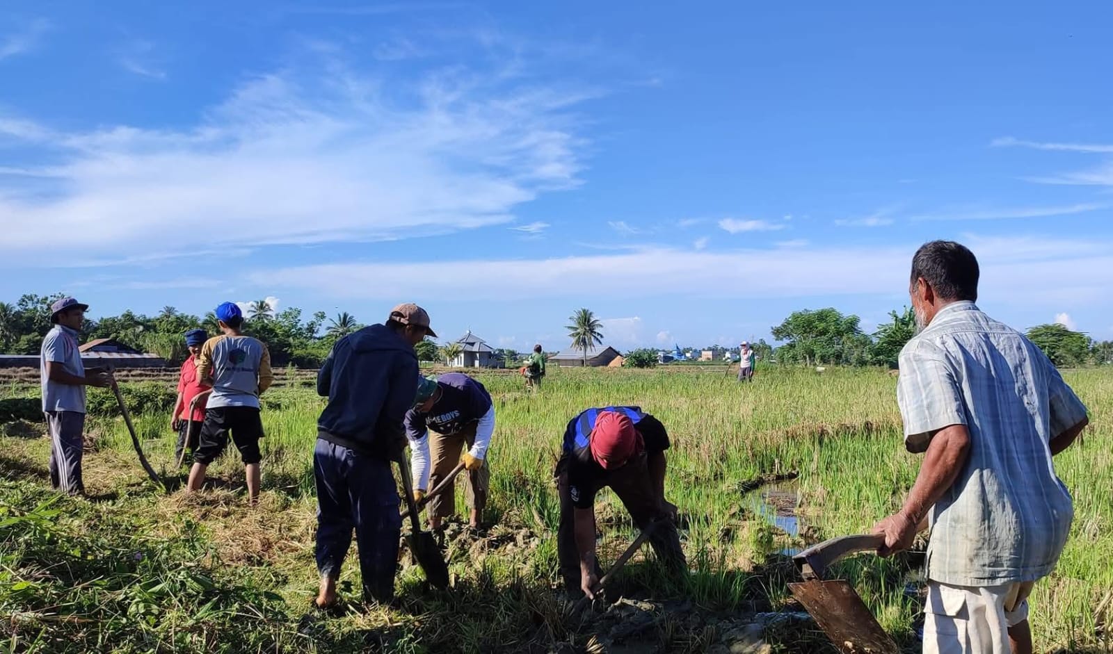 PROGRAM NASIONAL: Pembukaan lahan dalam program cetak sawah baru di salah satu wilayah Kecamatan Tinombo Selatan, Kabupaten Parigi Moutong, Selasa 24 Maret 2026.(FOTO: RAHMAT FADHIL/RADAR PALU)