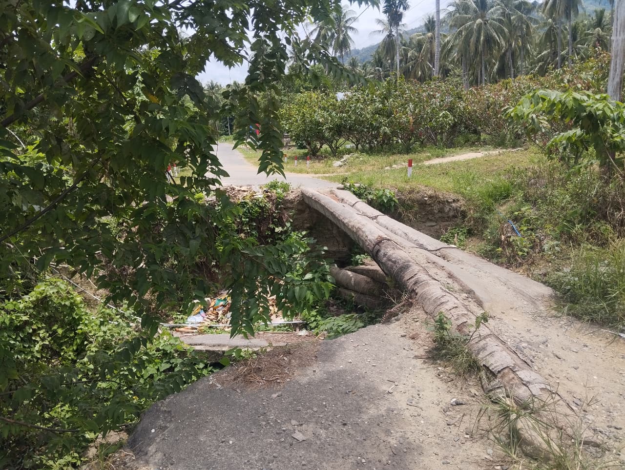 AKSES TERPUTUS: Kondisi jalan penghubung antara Desa Gurinda dan Desa Ogobayas, Kecamatan Mepanga, yang terputus dan tidak dapat dilalui, Rabu 25 Maret 2026.(FOTO: RAHMAT FADHIL/RADAR PALU).  &nbsp;