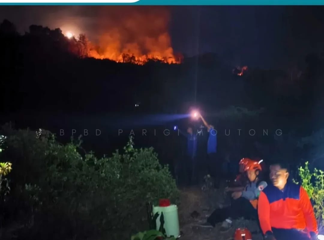 Kawasan wisata Gunung Sanjubi Parigi Moutong terlihat terdampak kebakaran yang menghanguskan sebagian area perbukitan.