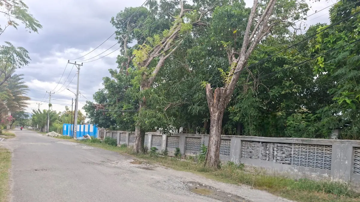 BUTUH PERHATIAN: Jalan Lamotu yang sempat viral karena sejumlah warga menanam pohon pisang di tengah jalan sebagai bentuk protes. FOTO: ANNISA TRI YUSNIDA
