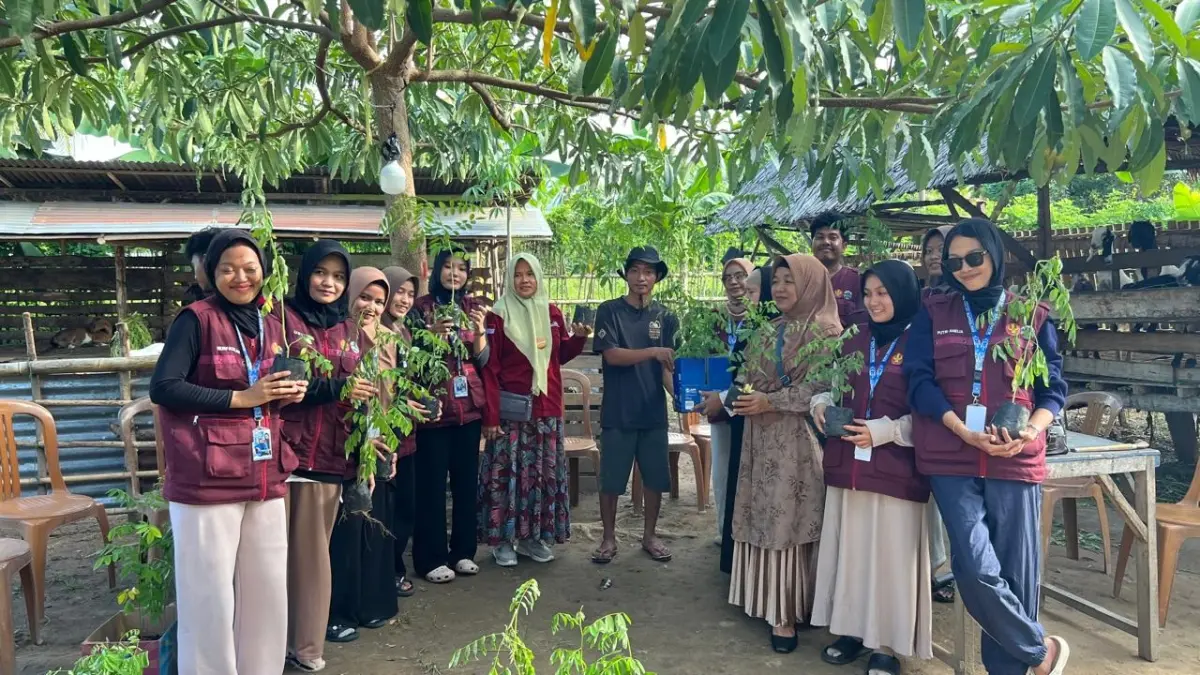 SEHAT HIJAU : Dinas Peternakan dan Kesehatan Hewan Kabupaten Parigi Moutong menanam bibit Indigofera di peternakan milik Mohammad Riski di Desa Boyantongo, Kamis 2 April 2026.(FOTO:RAHAMT FADHIL/RADAR PALU).