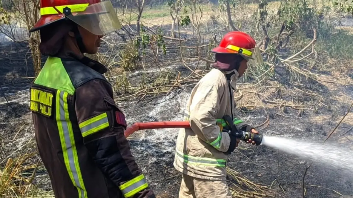 Kebakaran lahan kosong terjadi di Jalan Merpati II, Lorong Sintuwu 1, Kelurahan Tanamodindi, Kecamatan Mantikulore, Minggu (5/4/2026).(Instagram/@damkar_kotapalu)
