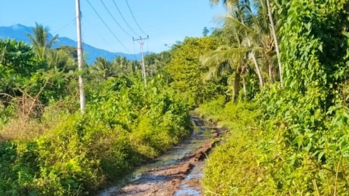 RUSAK: Kondisi jalan masuk ke Desa Umu, Kecamatan Paleleh, Kabupaten Buol, Provinsi Sulawesi Tengah.(FOTO: ISTIMEWA/RADAR PALU).