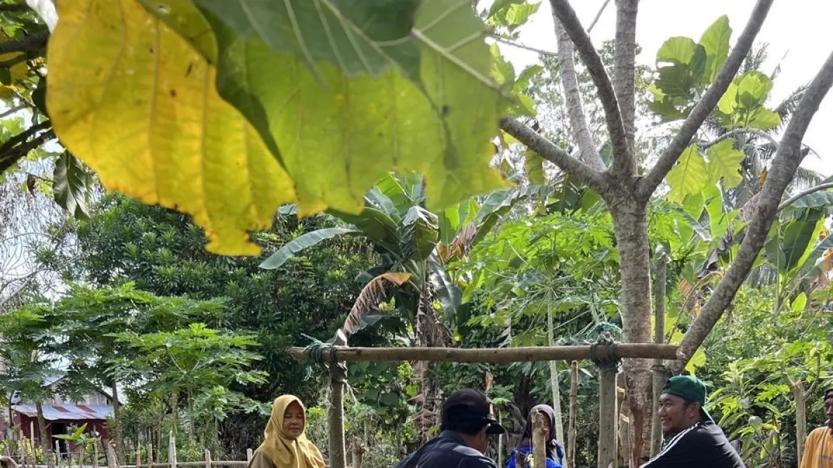 VAKSINASI: Petugas kesehatan hewan melakukan vaksinasi PMK pada ternak milik warga di Desa Lebo, Kecamatan Parigi, Senin (6/4/2026).(FOTO: ISTIMEWA/RADAR PALU).