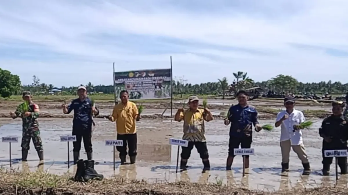 
MENANAM: Pemkab Touna, melakukan gerakan tanam serentak 10.000 hektare yang berlangsung di lokasi cetak sawah rakyat Desa Lemoro, Kecamatan Tojo, Kamis (9/4/2026).(FOTO: HERIYANTO LIMAHU/RADAR PALU)